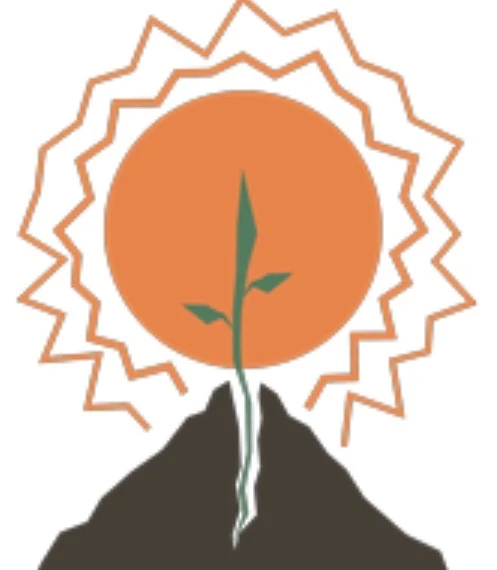 ЦСРИДИ Красносельского района СПб