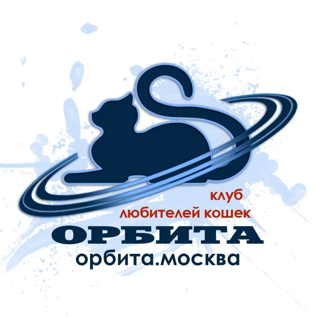 Орбита - клуб любителей кошек в Москве — канал в мессенджере MAX