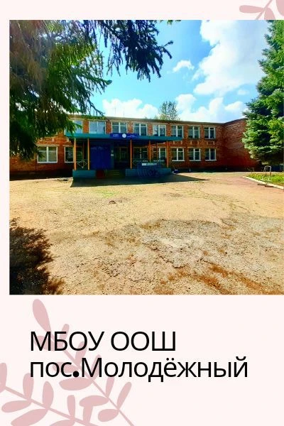 МБОУ "ООШ пос.Молодёжный" АМР РТ — канал в мессенджере MAX
