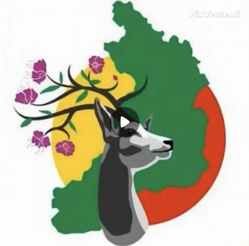 МОУ Билитуйская СОШ