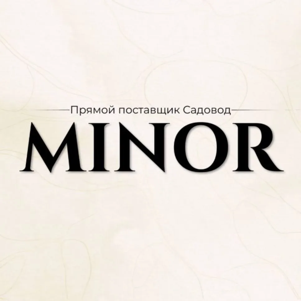 MINOR | 2Г-06 Корпус А Садавод — канал в мессенджере MAX