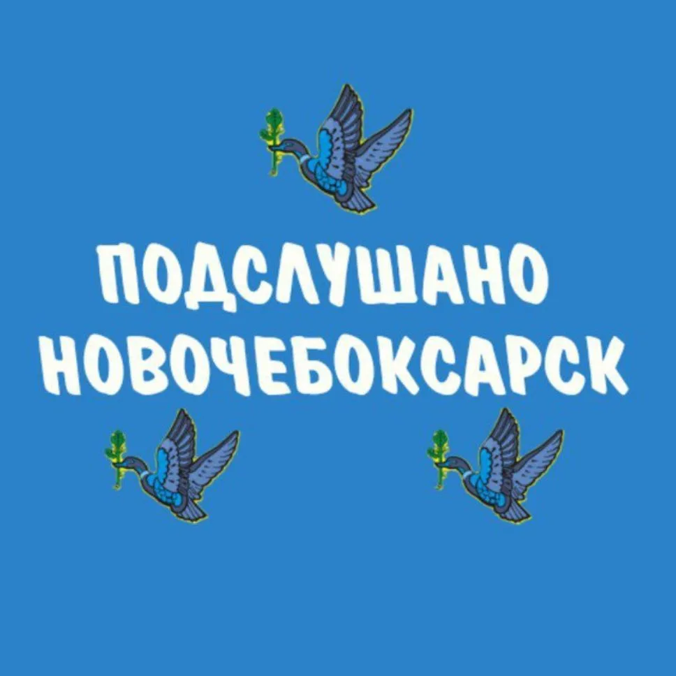 ПОДСЛУШАНО НОВОЧЕБОКСАРСК — канал в мессенджере MAX