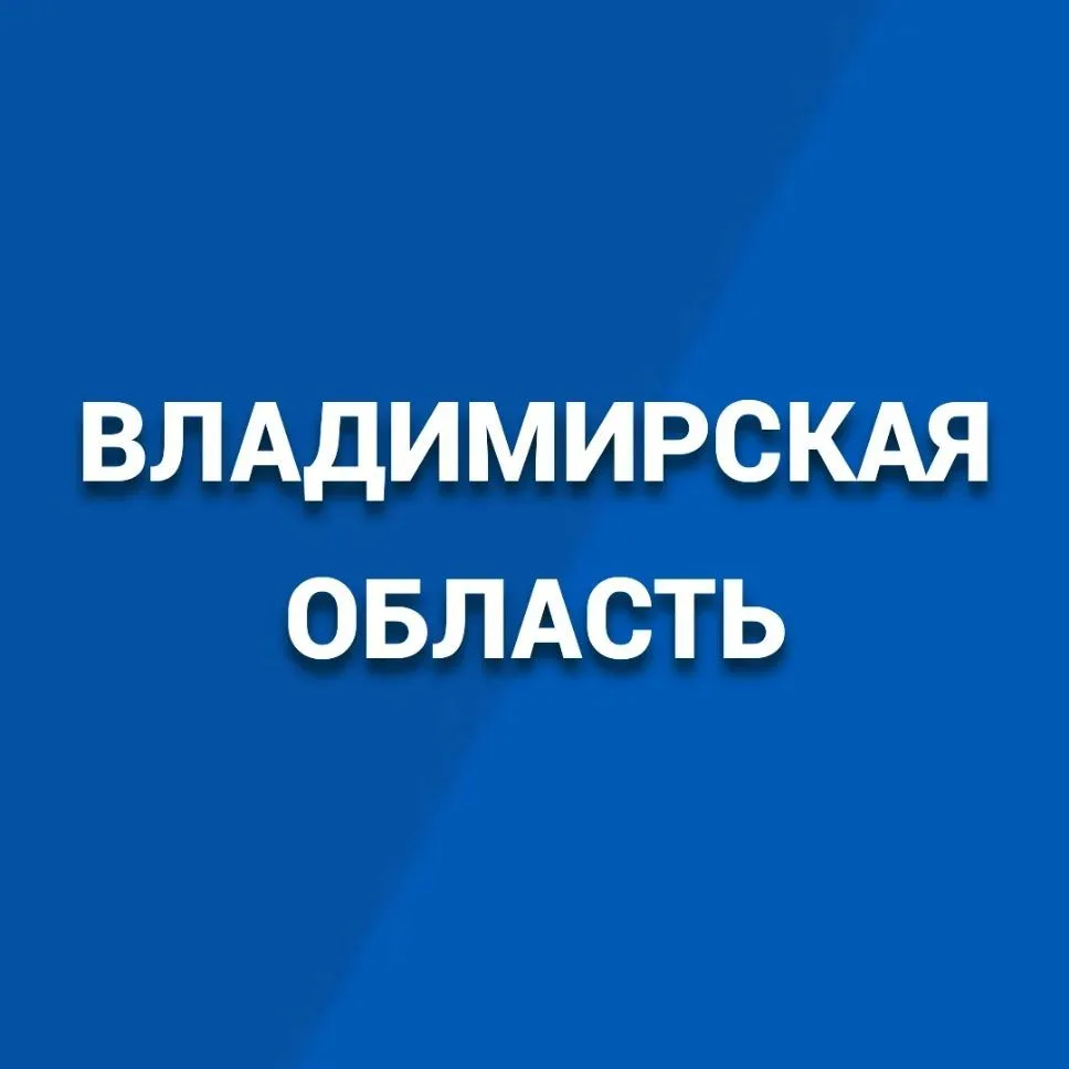 Правительство Владимирской области — канал в мессенджере MAX