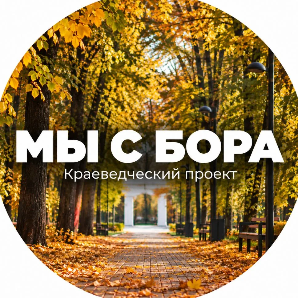 Мы с Бора — канал в мессенджере MAX