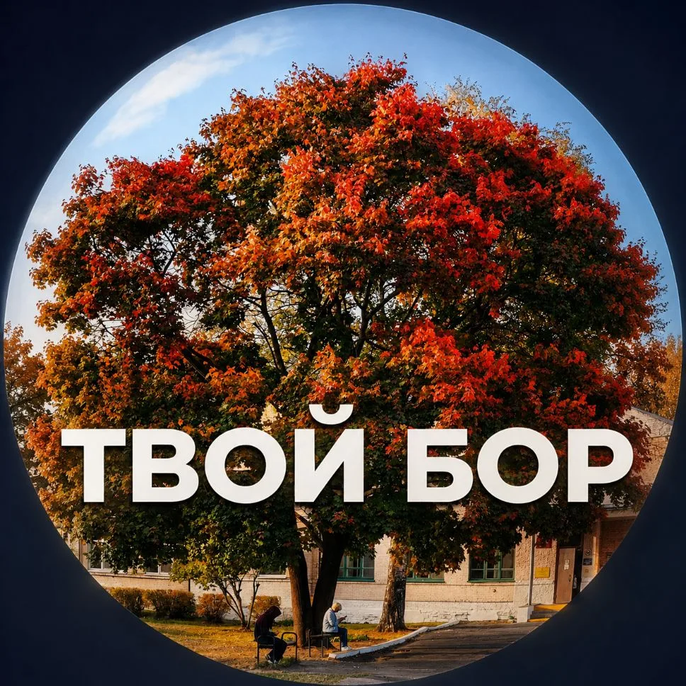 Твой Бор | tvoy-bor.ru — канал в мессенджере MAX