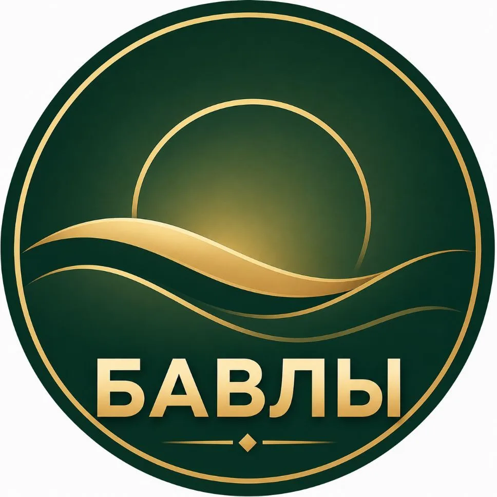 Бавлы — канал в мессенджере MAX