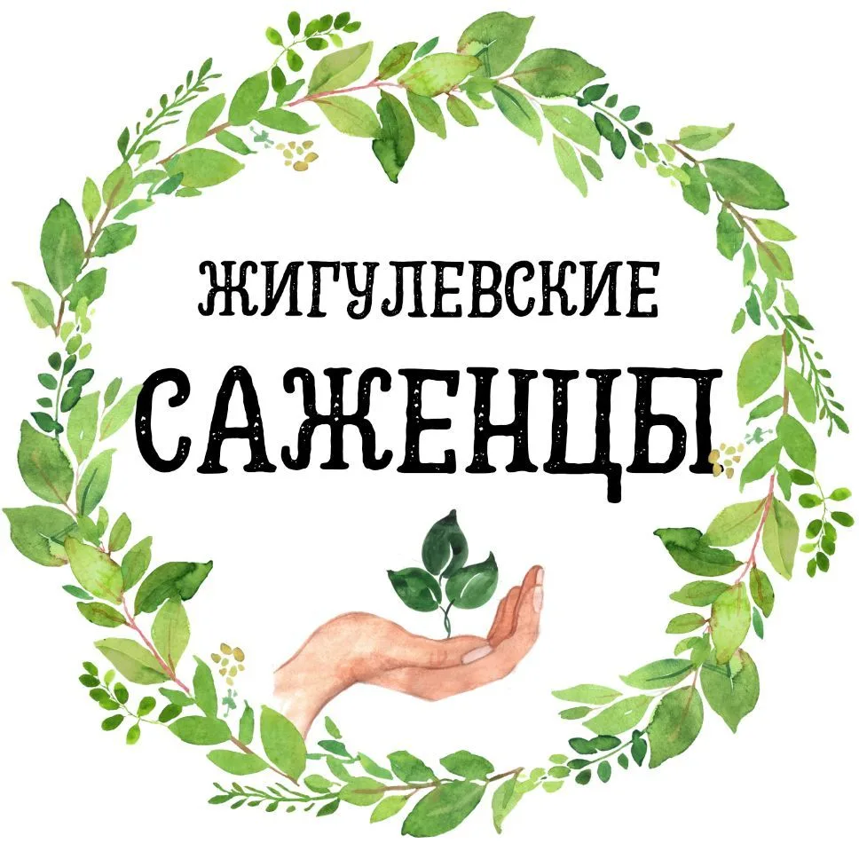 ОПТ. Жигулевские саженцы — канал в мессенджере MAX