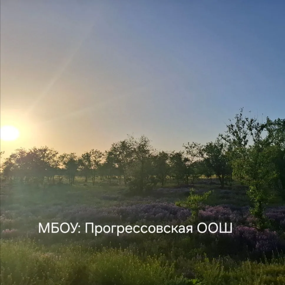 Канал МБОУ: Прогрессовская ООШ — канал в мессенджере MAX