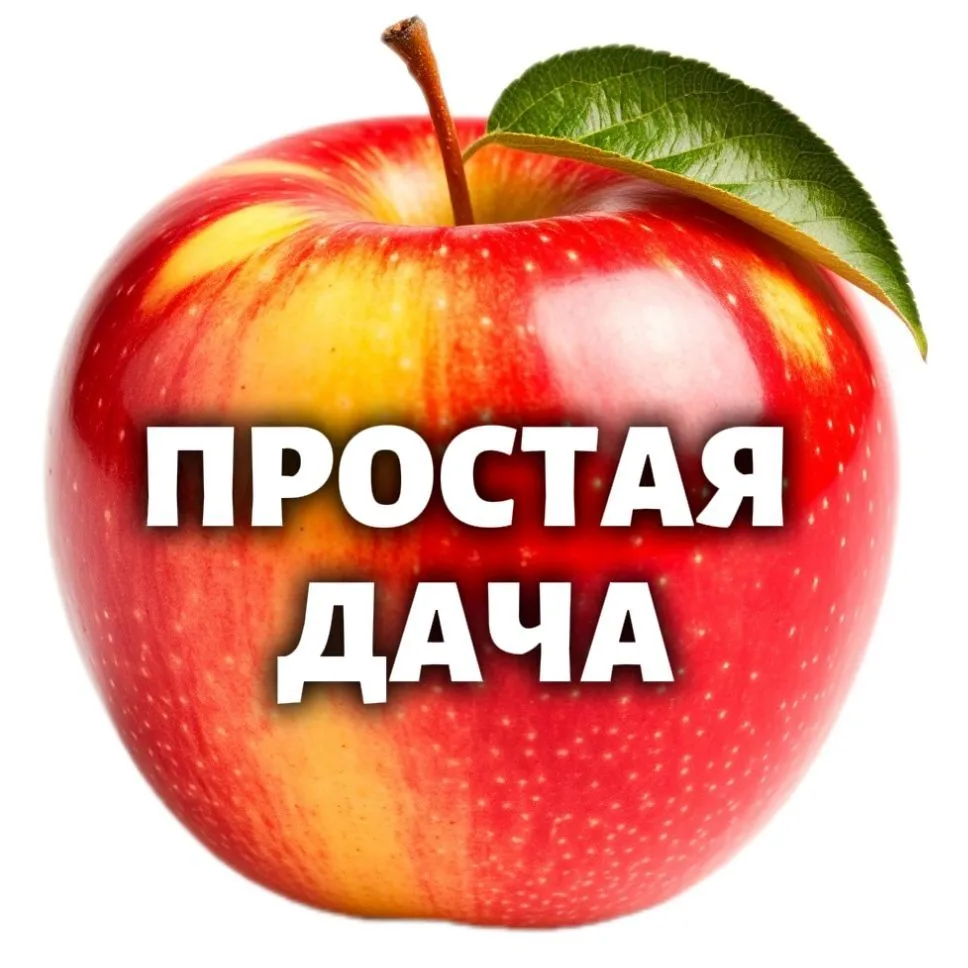 💚ПРОСТАЯ ДАЧА💚 — канал в мессенджере MAX