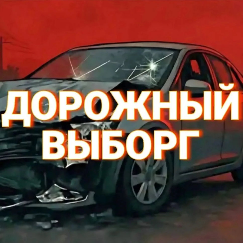 Дорожный Выборг (Выборгский район) — канал в мессенджере MAX