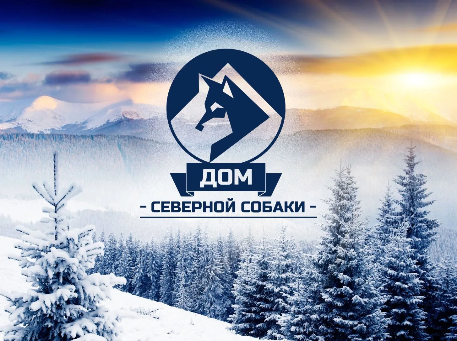 Дом Северной Собаки — канал в мессенджере MAX