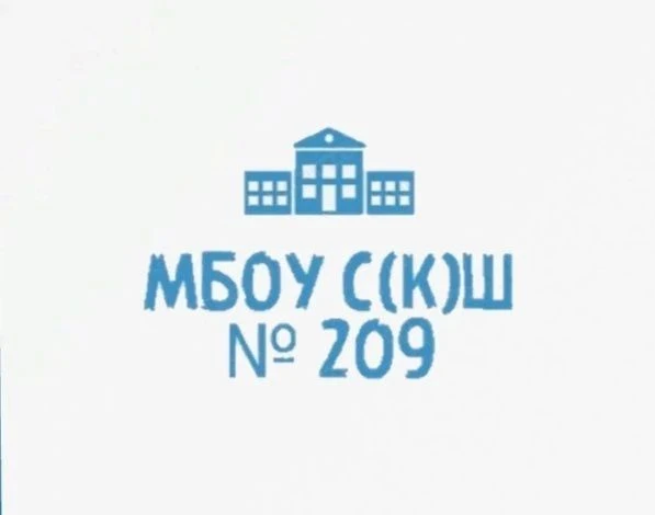 МБОУ С(К)Ш № 209