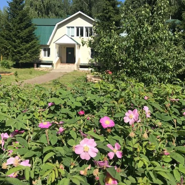 ГБУ «Атнинское РГВО»
