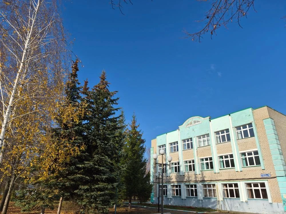 МБОУ "Камскоустьинская СОШ"