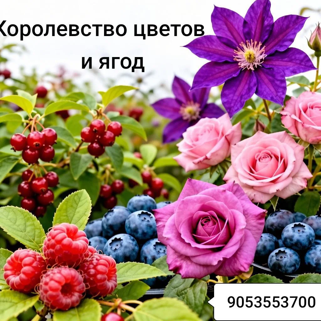 Королевство цветов и ягод — канал в мессенджере MAX