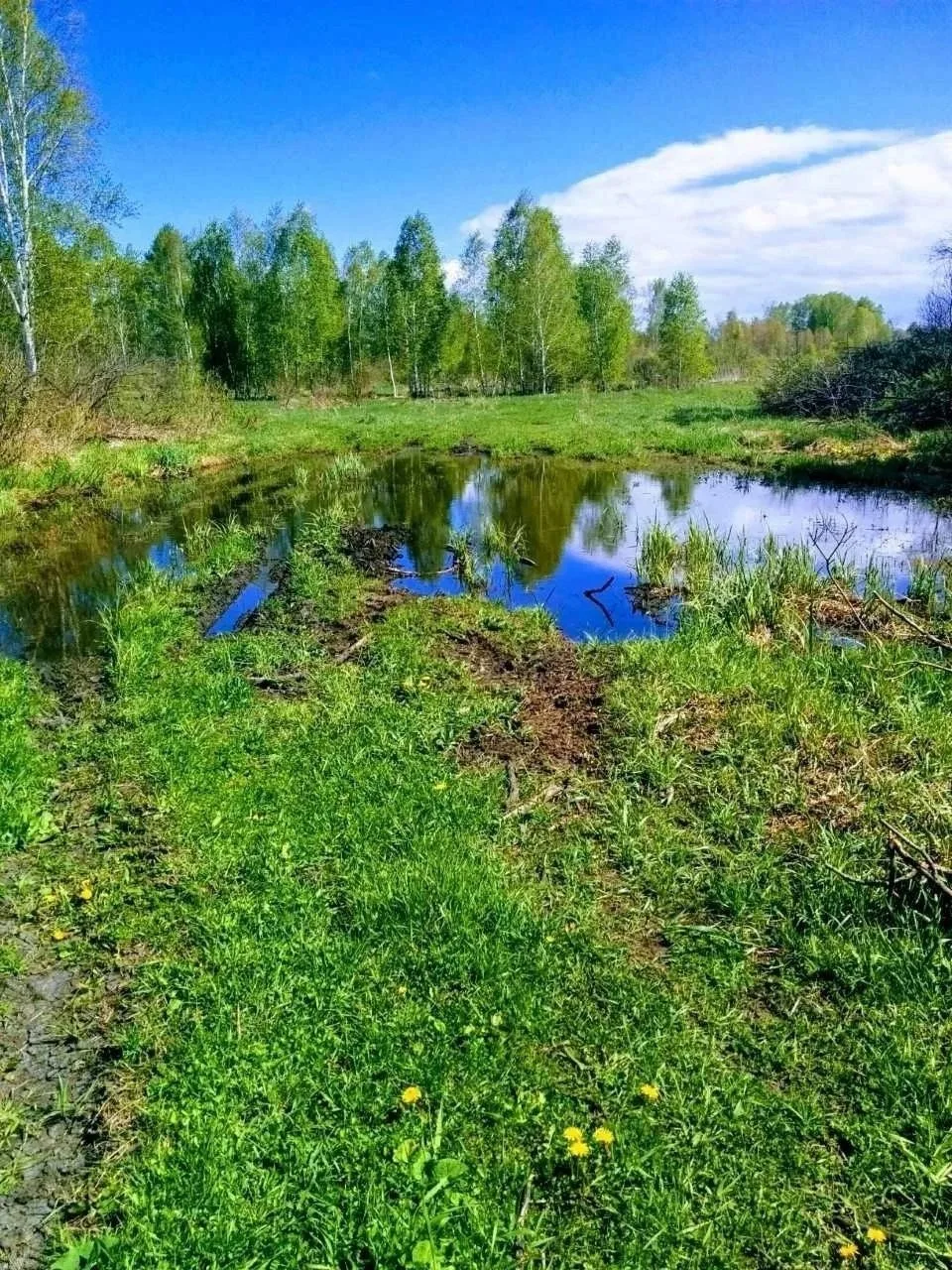 Логотип канала