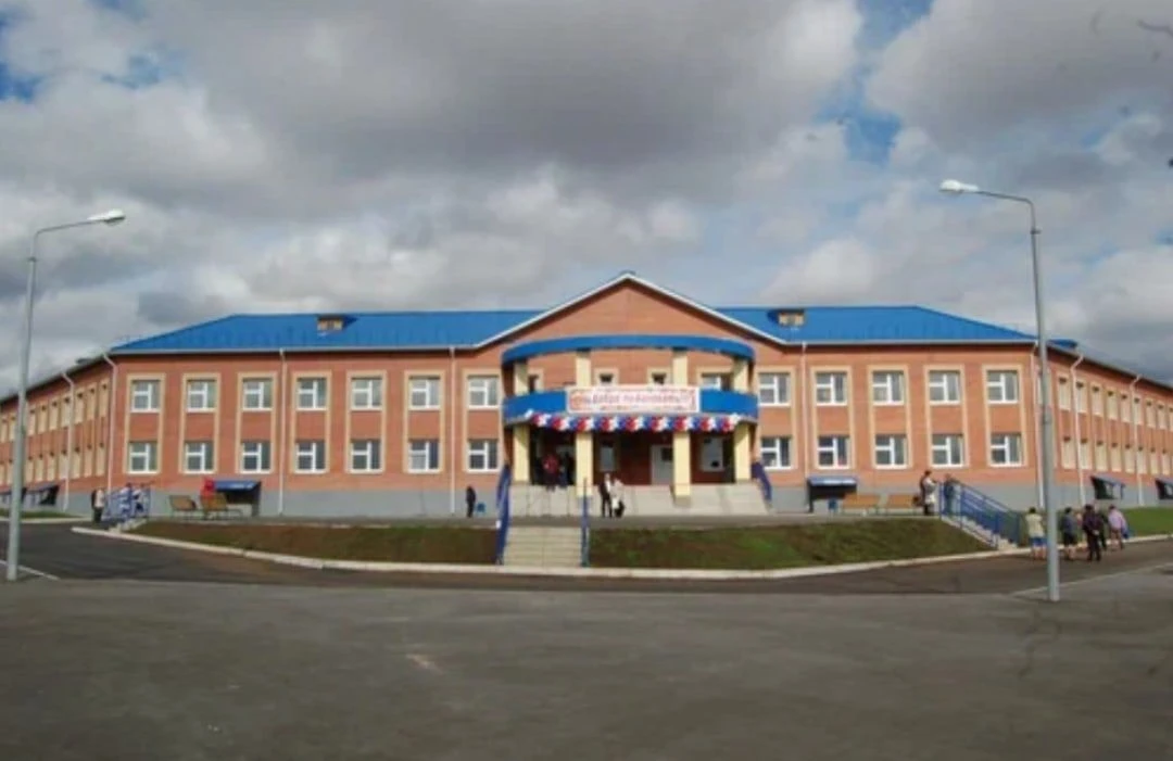 МОУ "Балканская СОШ им.П.И.Сумина"