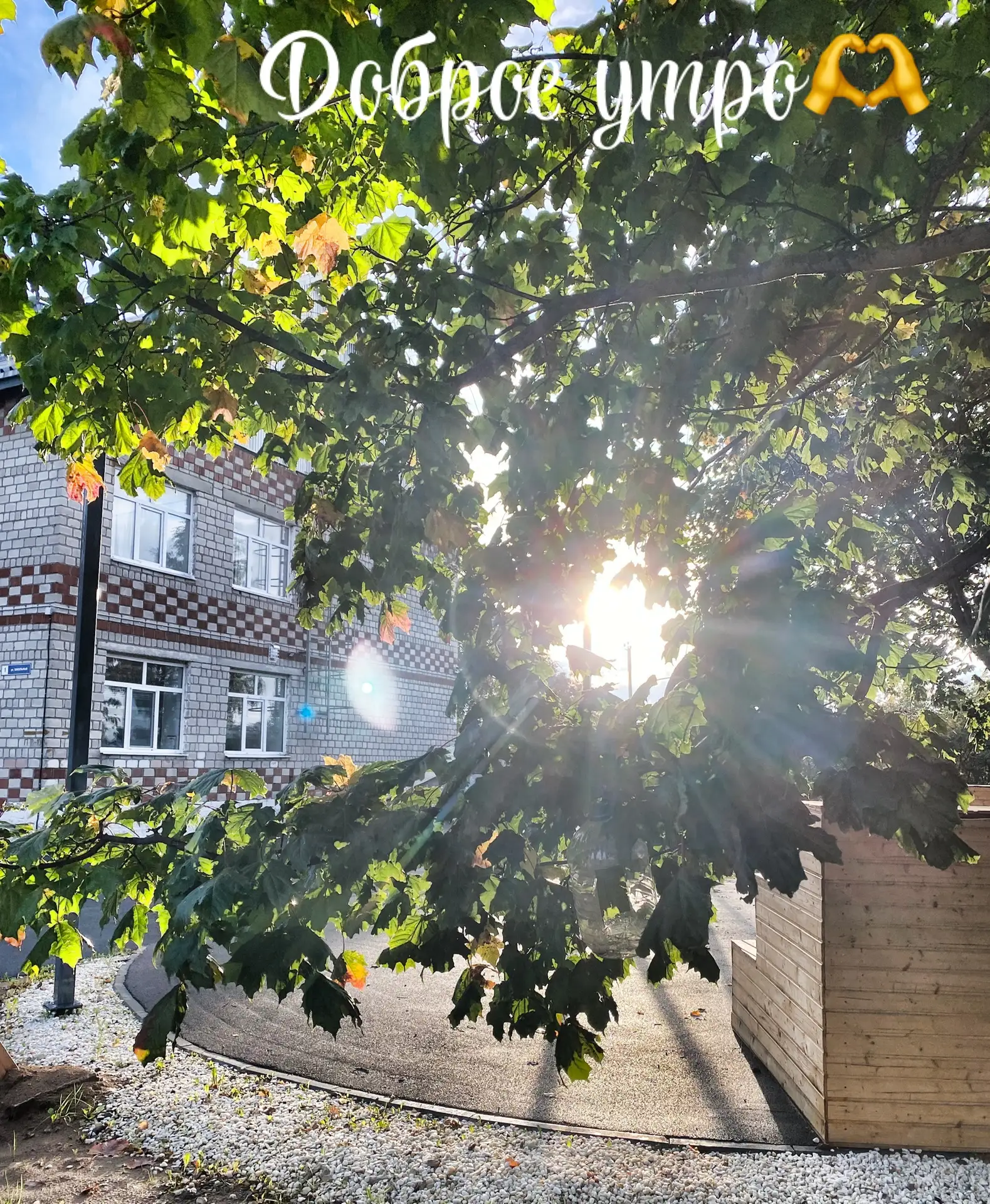 МБОУ «Базовая Павловская ООШ»