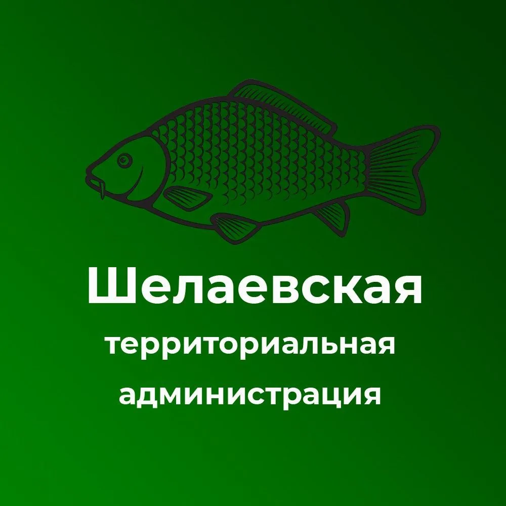 Шелаевская территориальная администрация — канал в мессенджере MAX