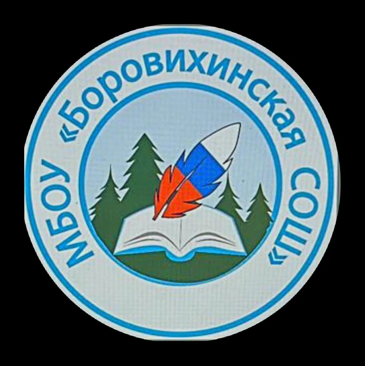 МБОУ "Боровихинская СОШ" — канал в мессенджере MAX