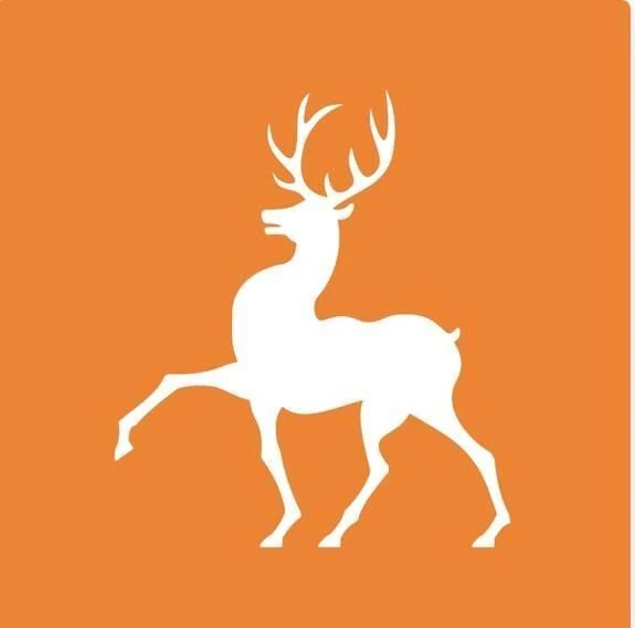 ГБУ Борский ПНИ