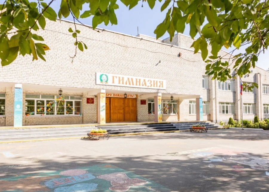 Гимназия имени Н.Д. Лицмана