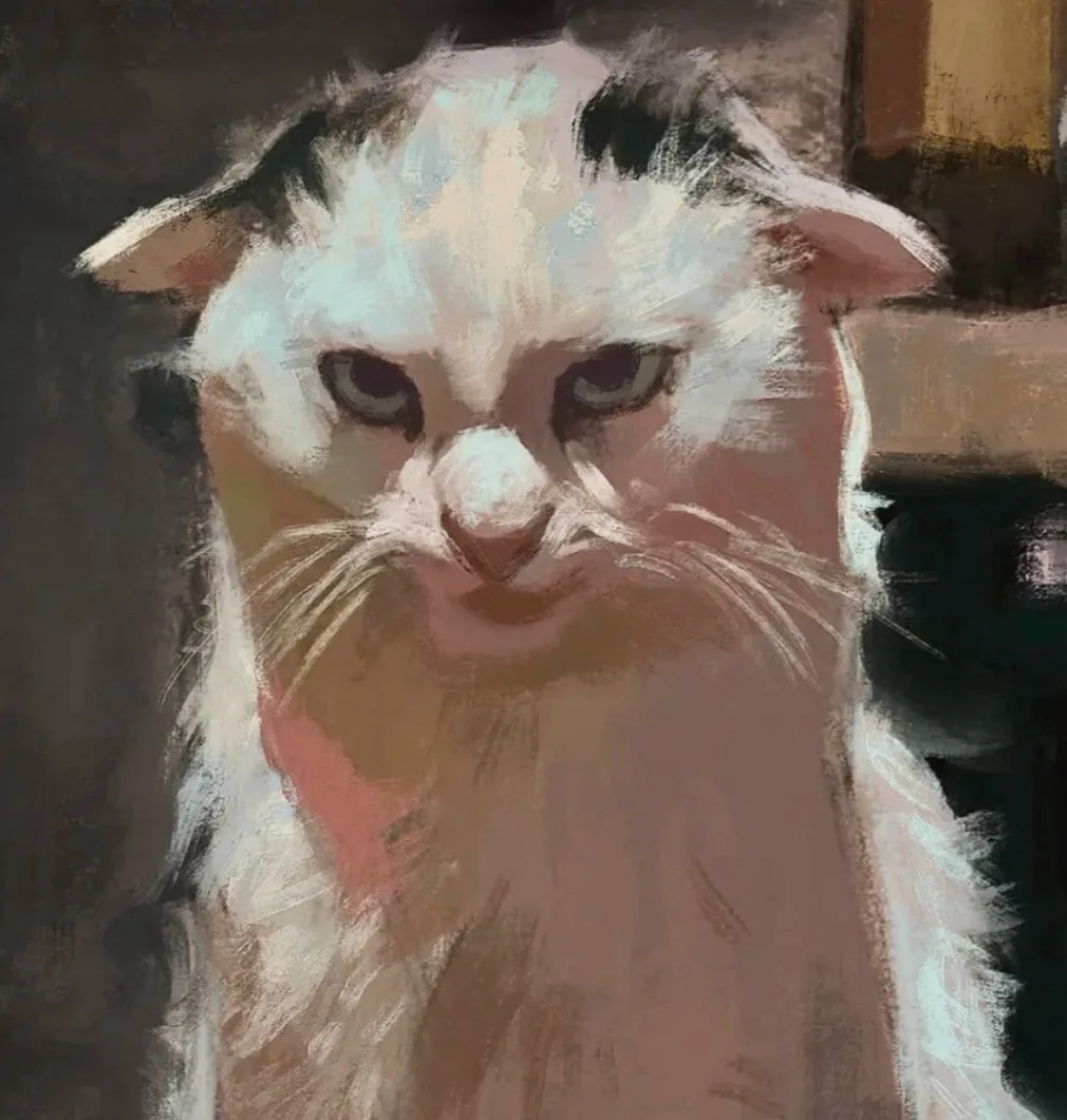 Визуальная философия