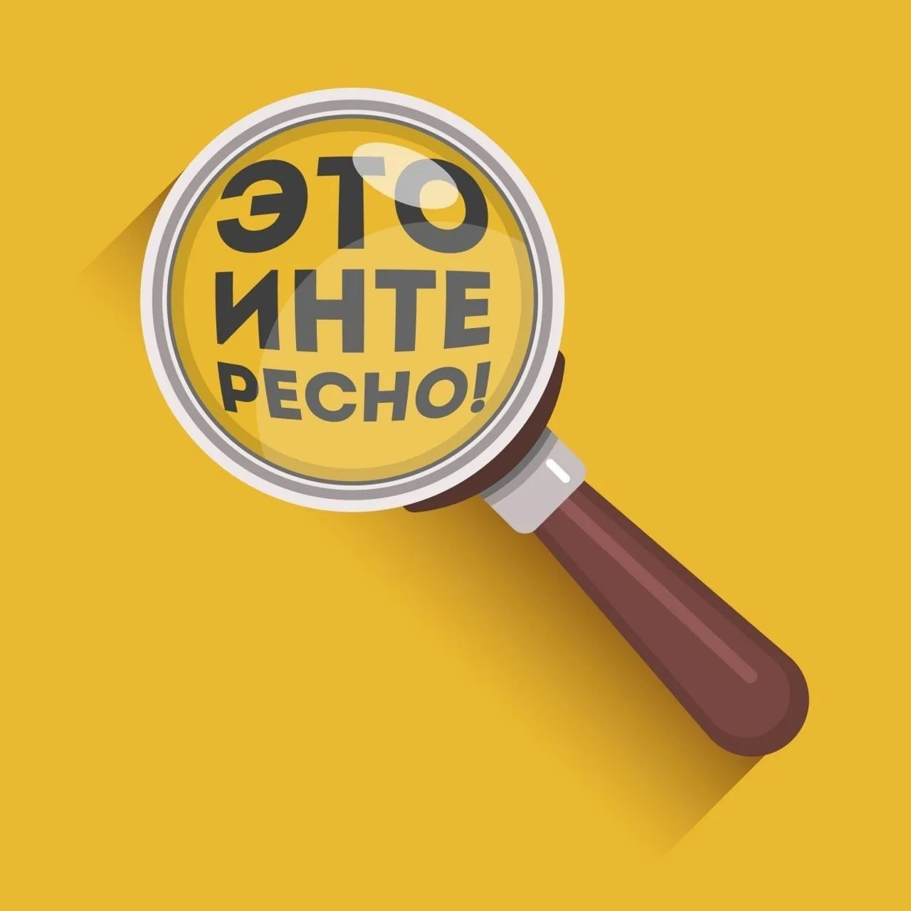 Интересное вокруг нас ..