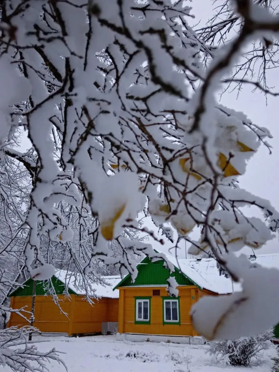 МБОУ "Власовская ООШ"