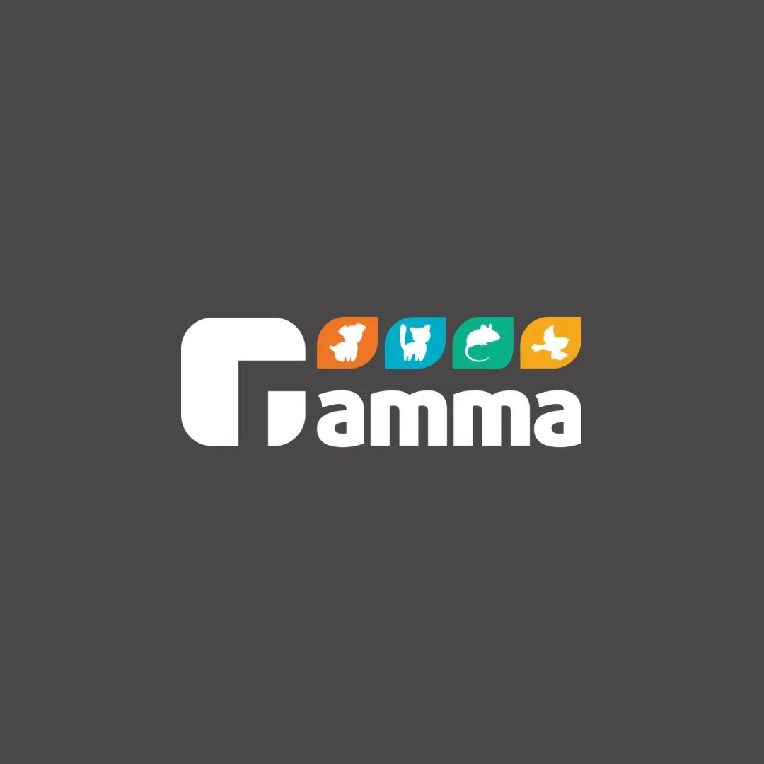 Gamma — канал в мессенджере MAX