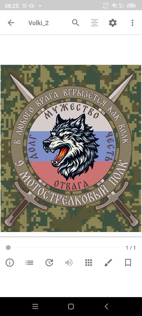 БАЛТИЙСКИЕ ВОЛКИ