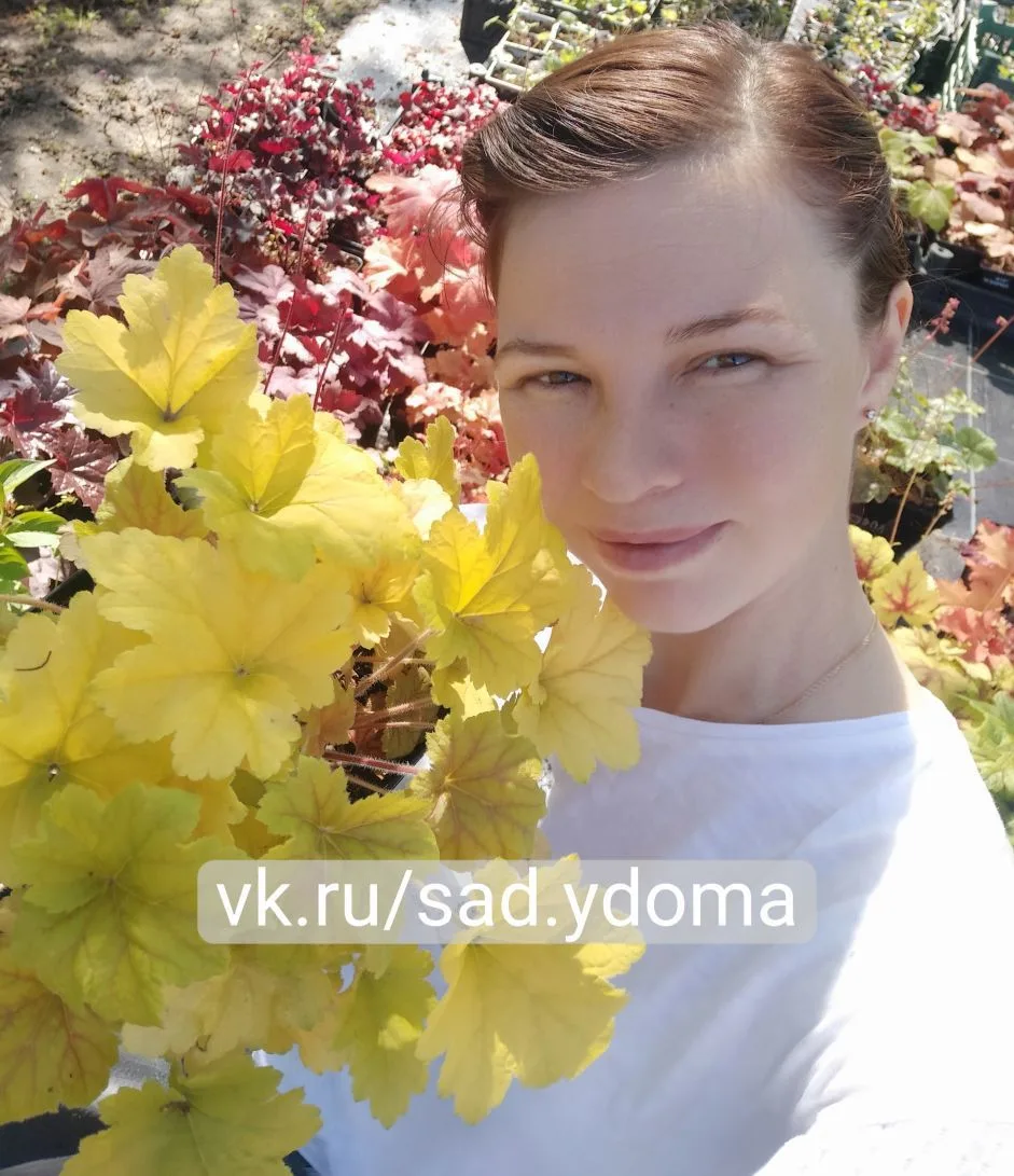 sad.ydoma — канал в мессенджере MAX