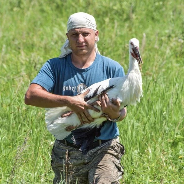 🐦 Птицы Амура 🐦