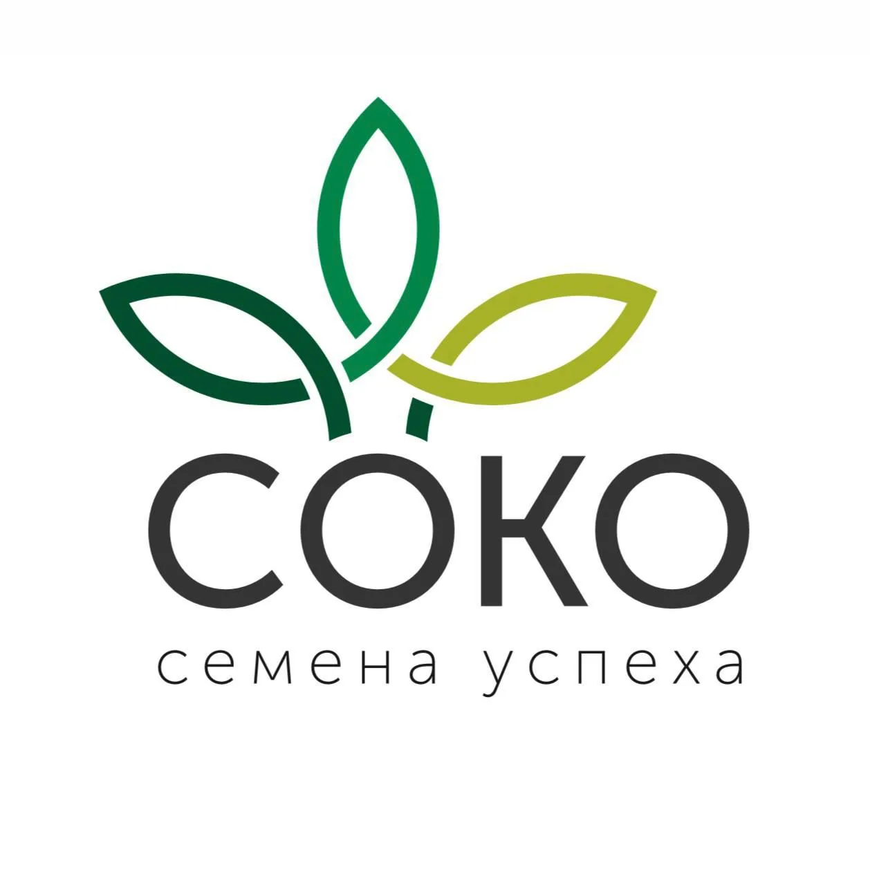 Компания "СОКО" — канал в мессенджере MAX