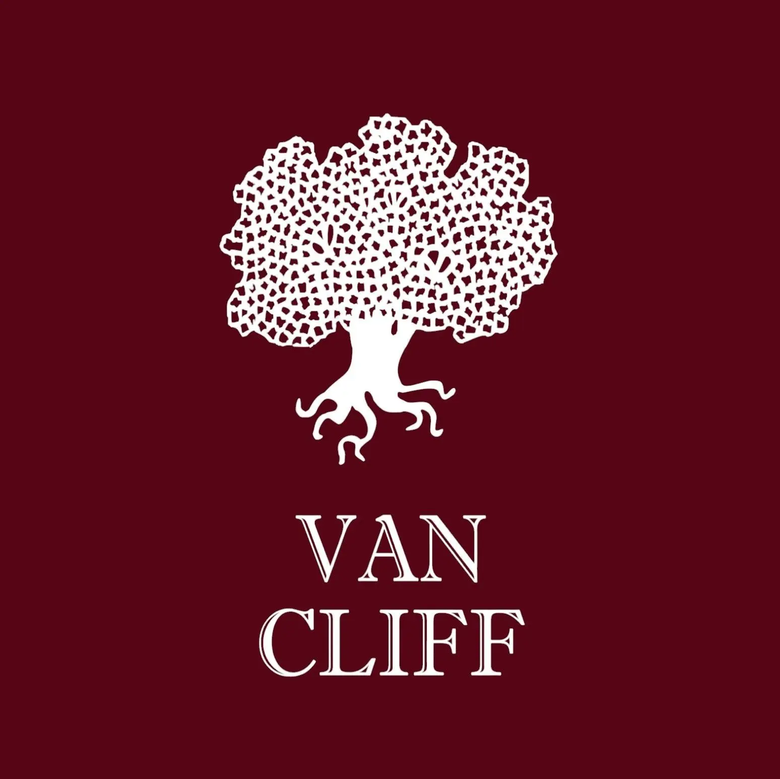 VAN CLIFF Мужская одежда