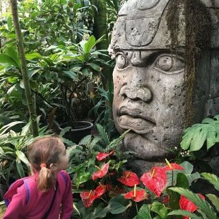 Аптекарский огород МГУ