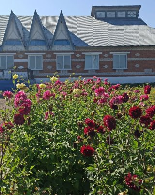 МБУК "Николаевский СДК"