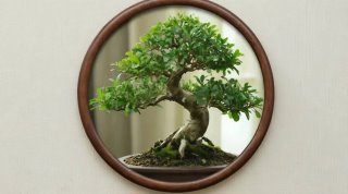 Зелёный декор