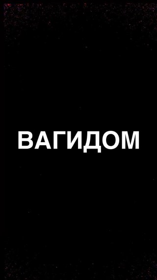 ВАГИДОМ