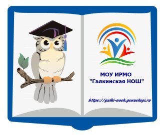 КАНАЛ МКОУ «Галкинская школа"