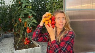 Волшебная грядка Марины Шевляковой