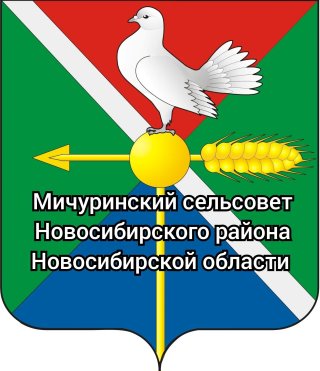 Администрация Мичуринского сельсовета Новосибирского района