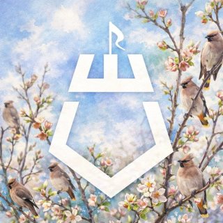 Администрация Шебекинского муниципального округа