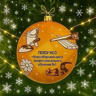 ГБПОУ НСО «Новосибирский центр профессионального обучения № 1»