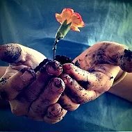 Жизненные Истории