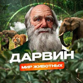 Дарвин|Мир животных