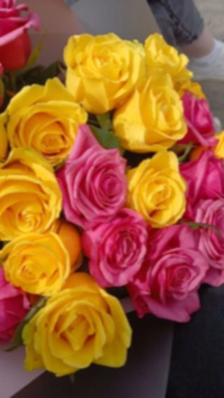 МДОУ "Детский сад " Дюймовочка " С. Репное