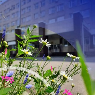 АЛТАЙСКИЙ КРАЕВОЙ КЛИНИЧЕСКИЙ ЦЕНТР ОХРАНЫ МАТЕРИНСТВА И ДЕТСТВА