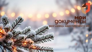 МАУ "МФЦ" АБДУЛИНСКОГО МУНИЦИПАЛЬНОГО ОКРУГА ОРЕНБУРГСКОЙ ОБЛАСТИ