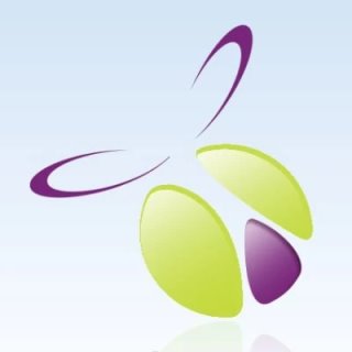 Ре-парфюм, наливная парфюмерия RENI